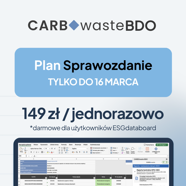 Plan Sprawozdanie roczne